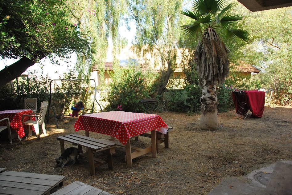 Lesanel - Guest House Arad Exterior photo