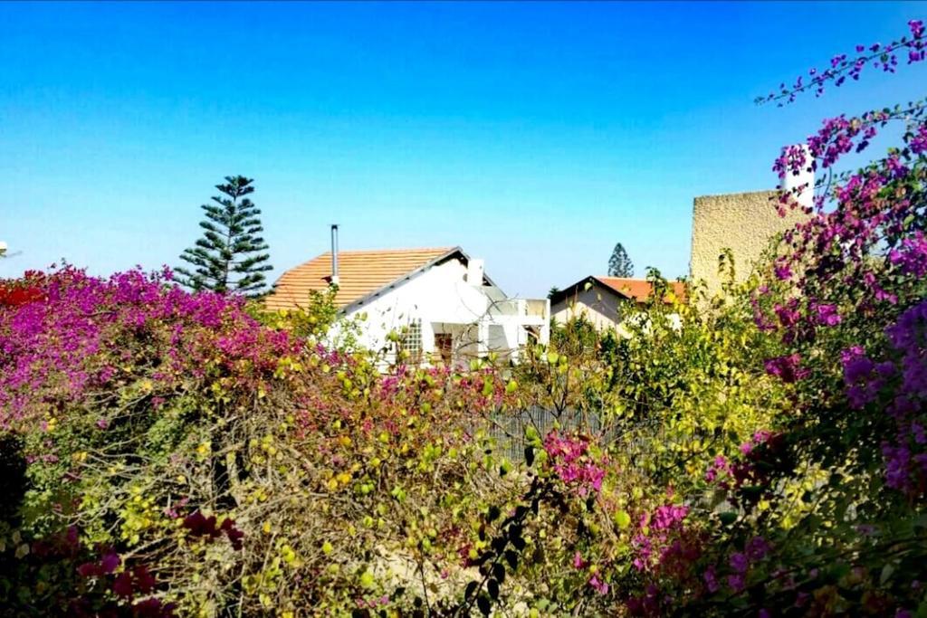 Lesanel - Guest House Arad Exterior photo